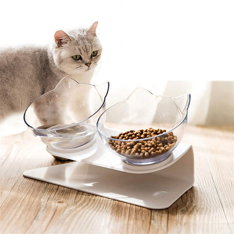 Modern And Transparent Raised Double Cat Bowl Feeder