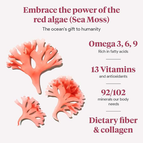 Atlantic Naturals Organic Sea Moss With Beet Root Capsules, 120 vc
