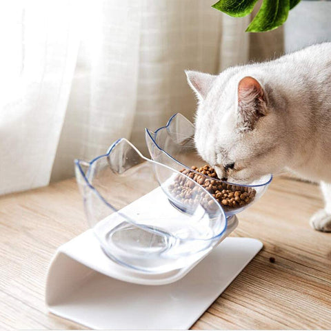 Modern And Transparent Raised Double Cat Bowl Feeder