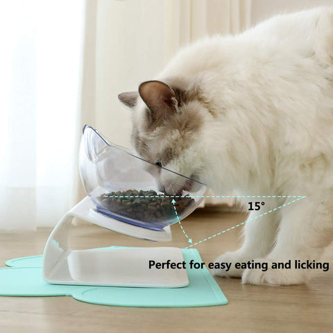 Modern And Transparent Raised Double Cat Bowl Feeder