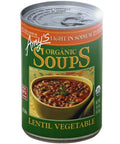 amys lentil vegetable soup | Amy's Organic Lentil Vegetable Soup (Light in Sodium)- 14.5 fl oz. | Vegan Black Market