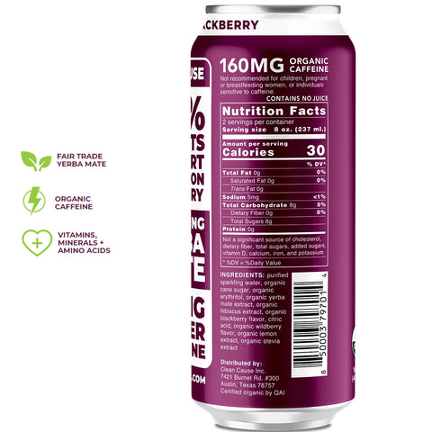 Clean Cause Organic Sparkling Yerba Mate - Blackberry - 16 oz