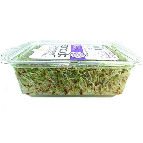 alfalfa sprouts