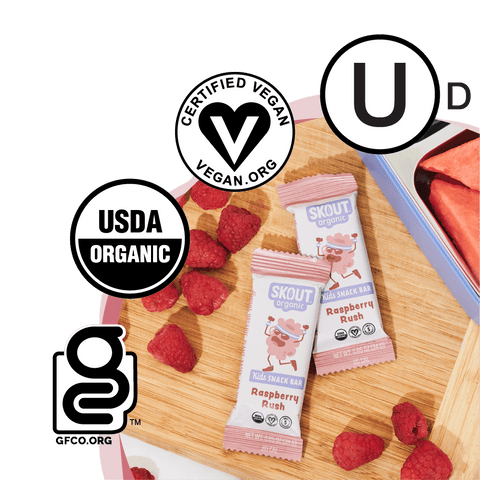 Skout Organic Kids Snack Bars Raspberry Rush - 6 ct/0.85oz.
