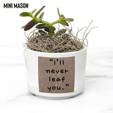 “I’ll never leaf you” Succulent Pot | Vegan Black Market