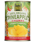 Native Forest Organic Pineapple Chunks -14 oz | Vegan Black Market